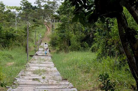 Estado do Acre, Amazonia Brasileña