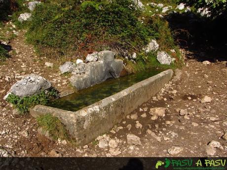 Fuente camino a Bulnes