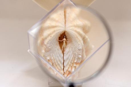 Los increíbles microuniversos de Manuel Ussá Museo Microminiaturas y Macrogigante Manuel Ussá