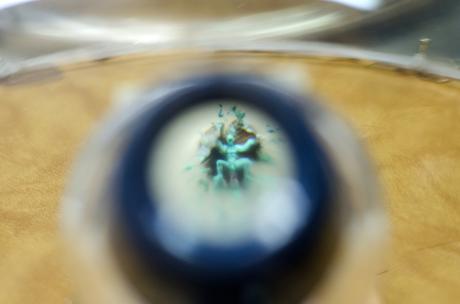 Los increíbles microuniversos de Manuel Ussá Museo Microminiaturas y Macrogigante Manuel Ussá