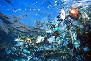 El plástico: de solución a problema ambiental en el siglo 21