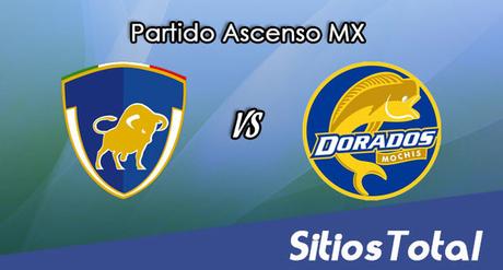 Celaya vs Dorados de Sinaloa en Vivo – Online, Por TV, Radio en Linea, MxM – AP 2016 – Ascenso MX Celaya vs Dorados de Sinaloa en Vivo – Online, Por TV, Radio en Linea, MxM – AP 2016 – Ascenso MX