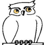 Menta o chocolate el bhúo es sabio