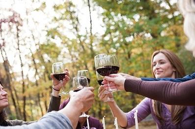Leyenda del Páramo, grandes vinos que hacen historia vino-y-amigos-solo-por-compartir