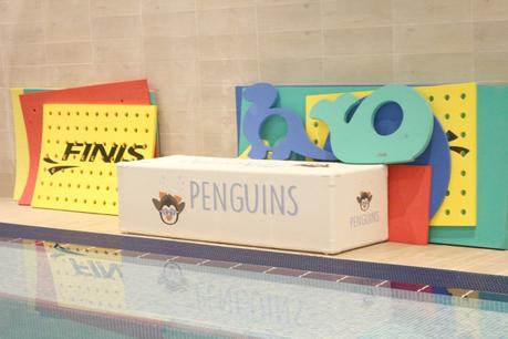 PISCINA PENGUINS BARCELONA penguins-barcelona-colours2