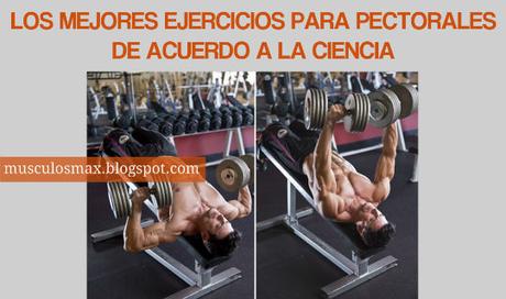 Los Mejores Ejercicios para Pectorales Los Mejores Ejercicios para Pectorales