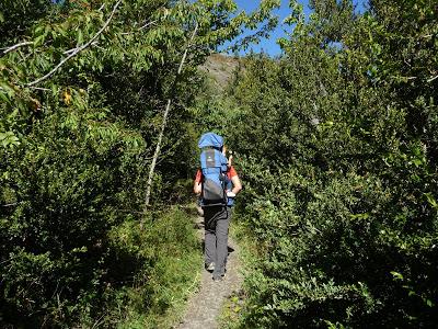 O Saldo del Río Escarra (Valle de Tena-Alto Gállego)