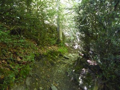 O Saldo del Río Escarra (Valle de Tena-Alto Gállego)