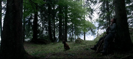 Die Wand - 2012 Die Wand - 2012