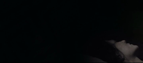 Die Wand - 2012 Die Wand - 2012