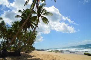 Playas desiertas y paradisiacas