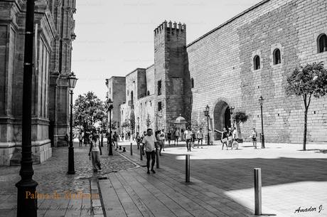 CALLEJEANDO POR PALMA DE MALLORCA