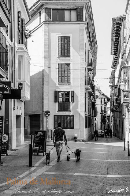 CALLEJEANDO POR PALMA DE MALLORCA