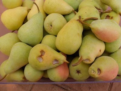 EN PLENA TEMPORADA DE FRUTAS