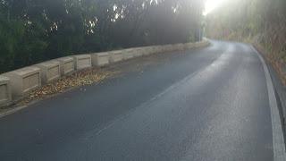 ¿Puntos limpios en Anaga o escombreras- vivero de flora invasora? ¿Puntos limpios en Anaga o escombreras- vivero de flora invasora?