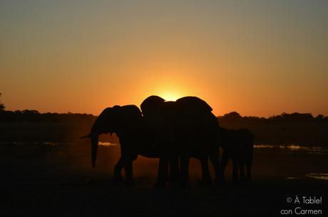 Safari en Botswana