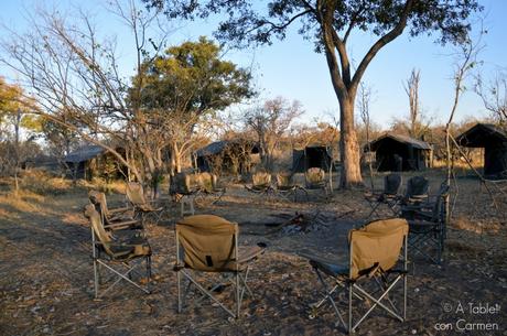 Safari en Botswana