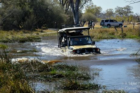 Safari en Botswana