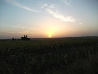 AMANECERES SIN OCASO EN UN PUEBLO DE LA MESETA CASTELLANOLEONESA