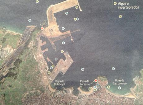 Niveles de contaminación en el puerto de Gijón