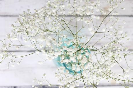 Flores para decorar : Paniculata