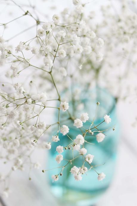 Flores para decorar : Paniculata