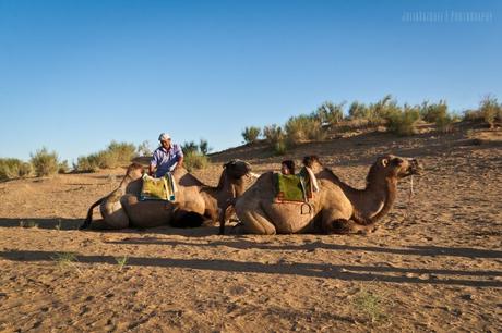 Uzbekistán, pasando la noche en el Desierto Kyzyl Kum