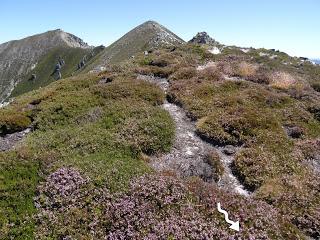 Ruayer-Xexa-Picón de Maea Alta-Pico de Maea Pandos-Foces del Pino