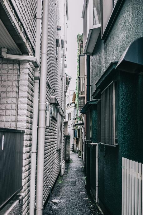 Tokyo_Travel_Guide-Fish_Market-Harajuku-Levis_Denim_Skirt-Off_The_Shoulders_Top-YSL_Sneakers-Outfit-Collage_Vintage-Street_Style-147