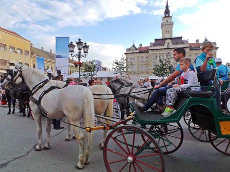 Un paseo por la ciudad serbia de Novi Sad Un paseo por la ciudad serbia de Novi Sad