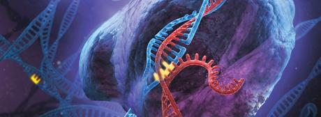 Tecnica de CRISPR. Imagen de http://www.genome-engineering.org