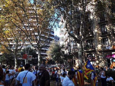 DIADA 2016, A LA BARCELONA D' ABANS, D' AVUI I DE SEMPRE...11-09-2016...!!!