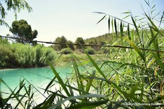 LAGUNAS DE RUIDERA LAGUNAS DE RUIDERA