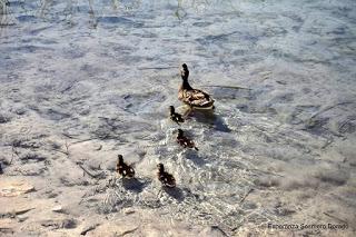 LAGUNAS DE RUIDERA LAGUNAS DE RUIDERA