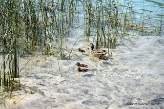 LAGUNAS DE RUIDERA LAGUNAS DE RUIDERA