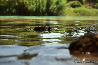 LAGUNAS DE RUIDERA LAGUNAS DE RUIDERA