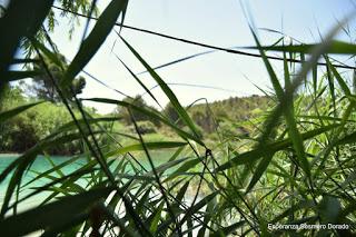 LAGUNAS DE RUIDERA LAGUNAS DE RUIDERA