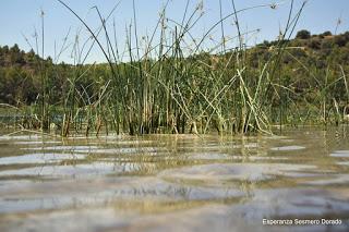 LAGUNAS DE RUIDERA LAGUNAS DE RUIDERA