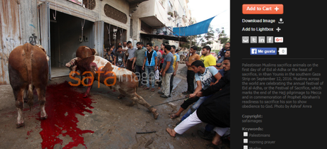 200 heridos en Gaza por la festividad de Eid Al Adha blog.png