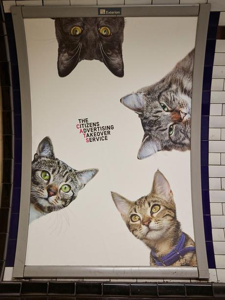 Sustituyen toda la publicidad de una estación de metro londinense por fotos de gatitos Sustituyen toda la publicidad de una estación de metro londinense por fotos de gatitos