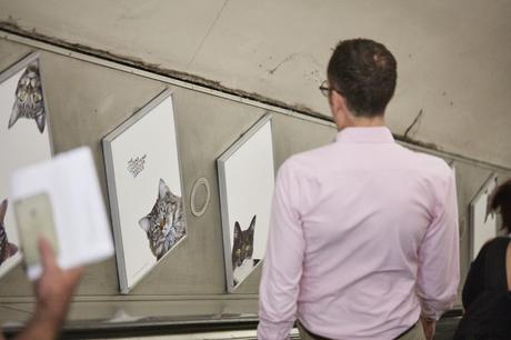 Sustituyen toda la publicidad de una estación de metro londinense por fotos de gatitos Sustituyen toda la publicidad de una estación de metro londinense por fotos de gatitos
