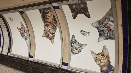 Sustituyen toda la publicidad de una estación de metro londinense por fotos de gatitos Sustituyen toda la publicidad de una estación de metro londinense por fotos de gatitos