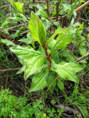 Visita un sitio mágico Visita un sitio mágico