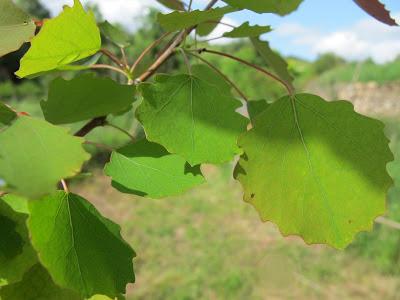 Visita un sitio mágico Visita un sitio mágico