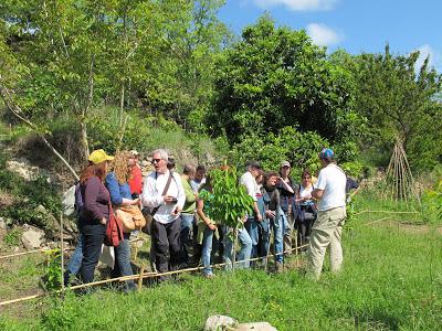 Visita un sitio mágico Visita un sitio mágico