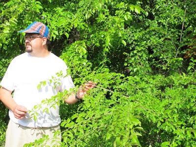 Visita un sitio mágico Visita un sitio mágico