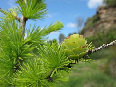 Visita un sitio mágico Visita un sitio mágico