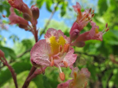Visita un sitio mágico Visita un sitio mágico