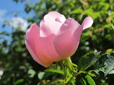 Visita un sitio mágico Visita un sitio mágico