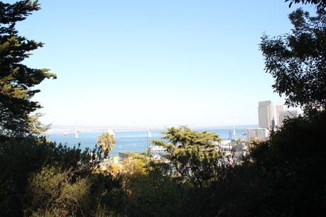 Un idiota de viaje – Un hippie se subió a un tranvía en San Francisco mientras un recluso le estaba mordiendo la pierna Un premio. Tendría que haber contado los escalones.